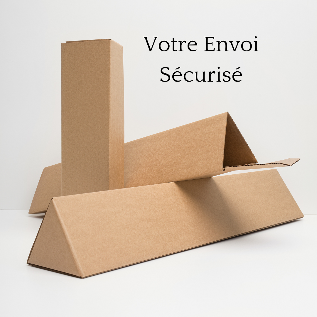 Cette photo montre comment l'envoi sera sécurisé. L'affiche sera enroulé et puis mis dans du carton dur pour le protéger durant l'envoi