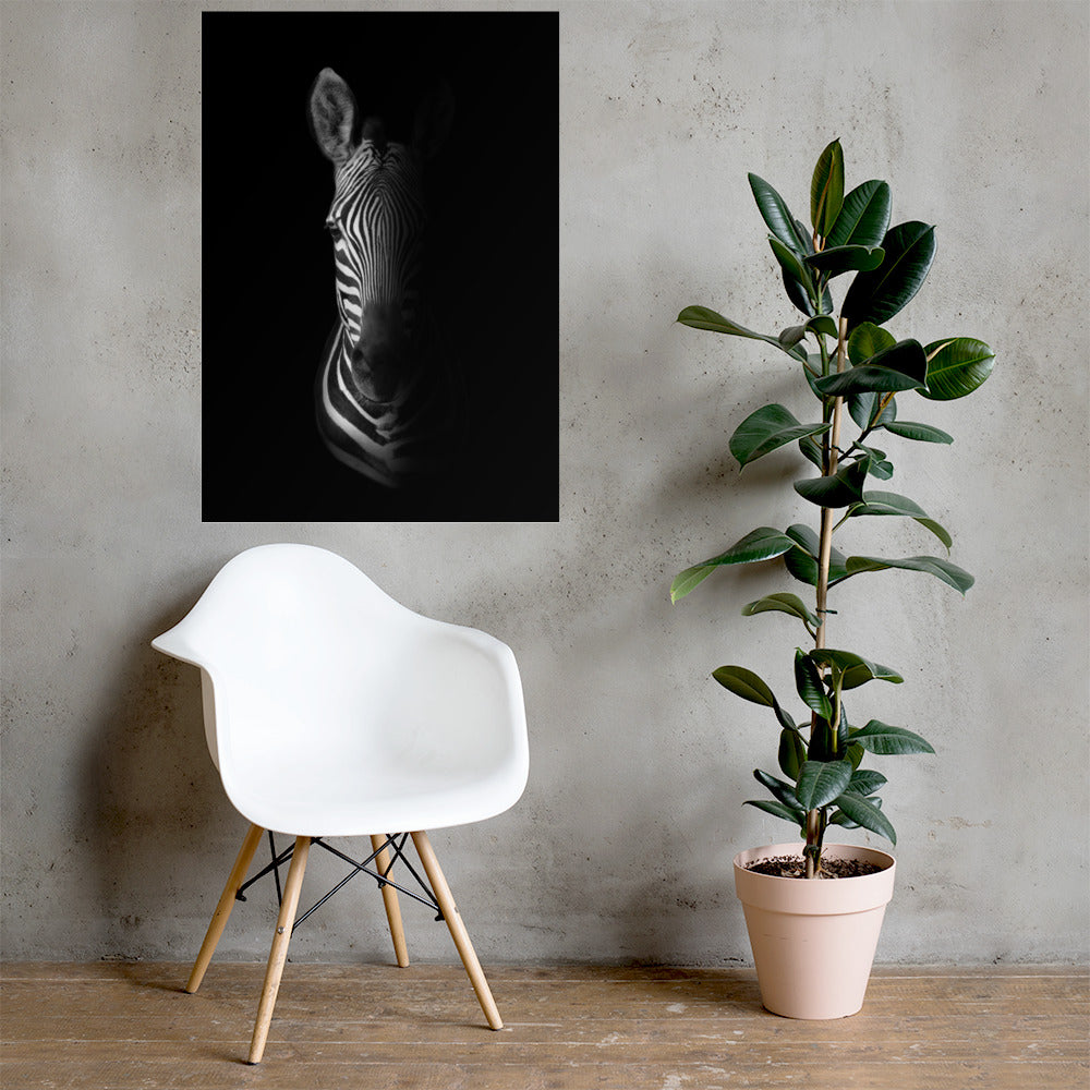 Photo d'une salle d'attente avec l'affiche "zèbre" noir et blanc en 61 x 91 cm pour montrer le rendu